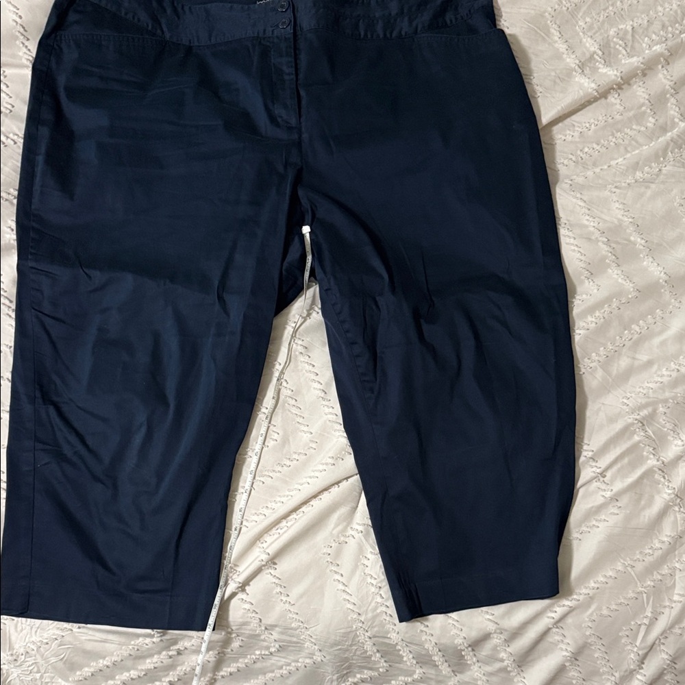 Lane Bryant Dark Blue Apparel